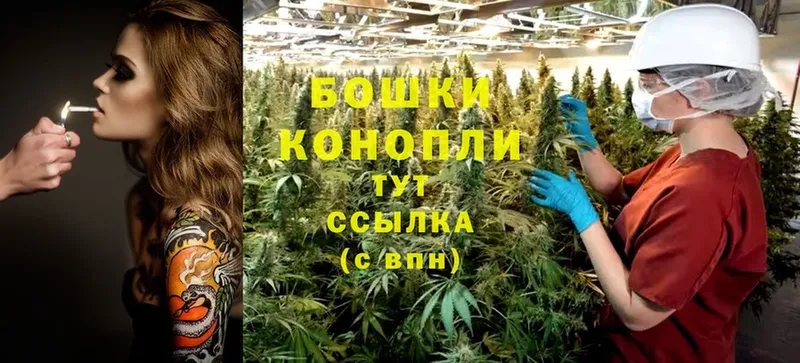 цена наркотик  Апатиты  Бошки марихуана LSD WEED 